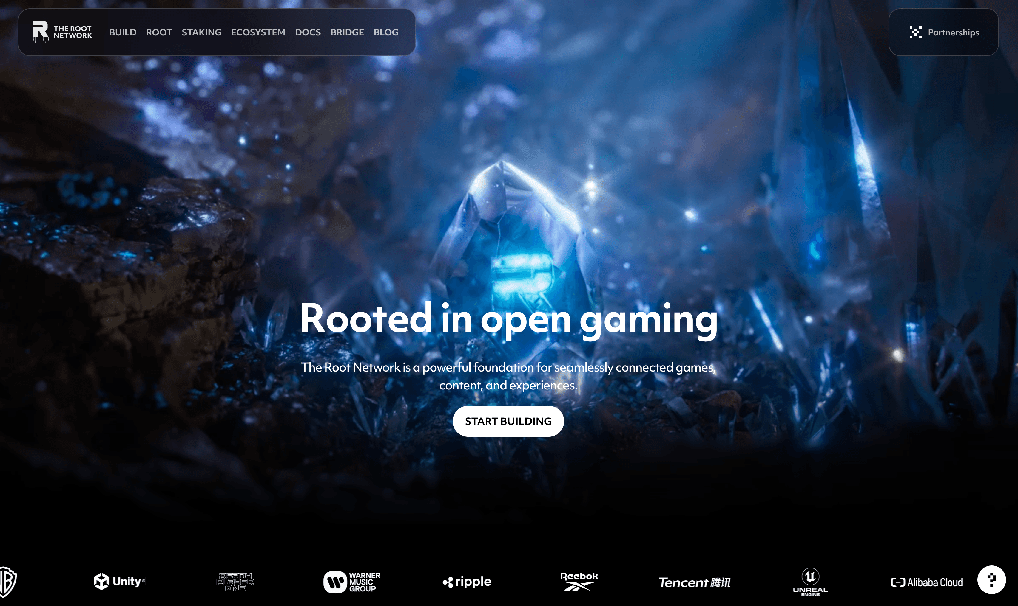 The Root Network